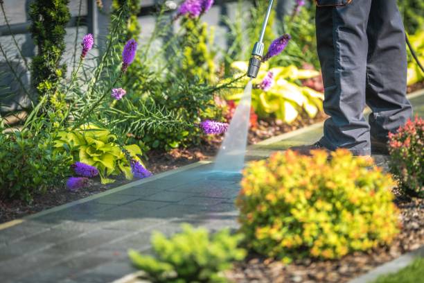 Best Animal Enclosure Cleaning  in Burnt Store Marina, FL